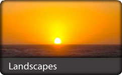 Landscapes, ZAGGskins Designs Skins covers