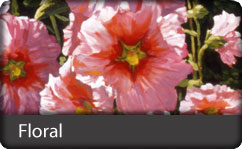 Floral, ZAGGskins Designs Skins covers